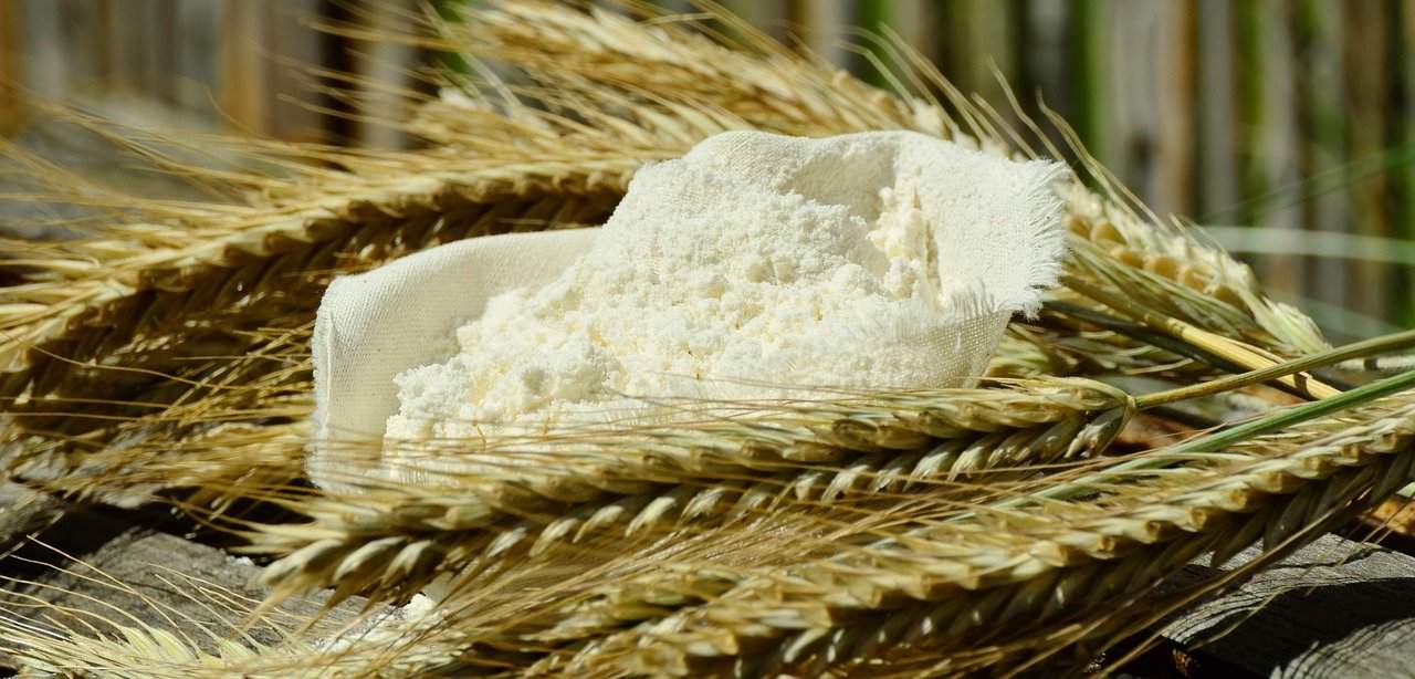 Grain and flour (a 'before and after' of the milling process).