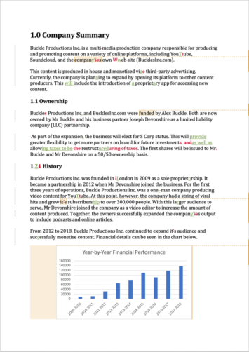 Business Plan Proofreading Example (After Editing)